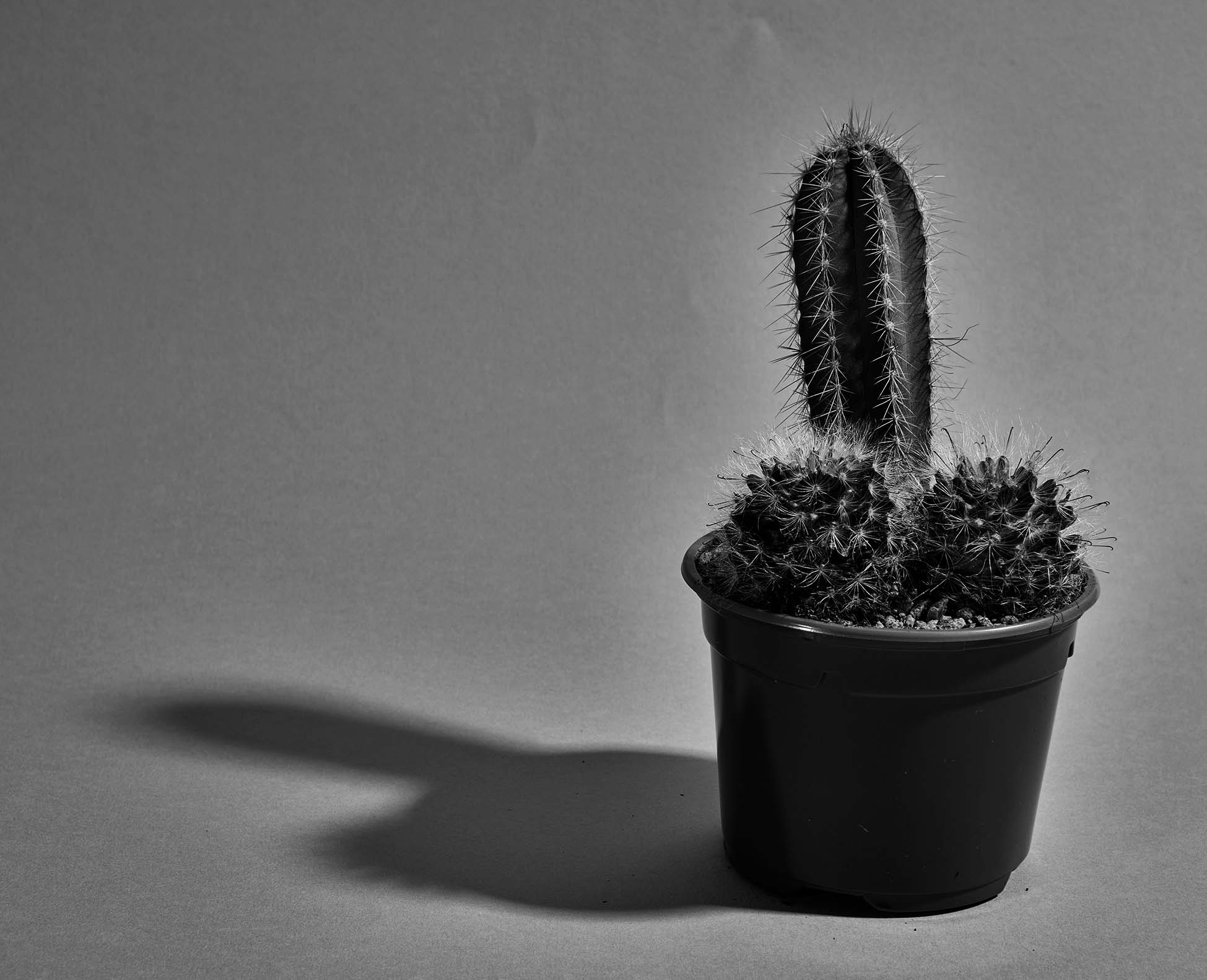 Does having a big penis matter?